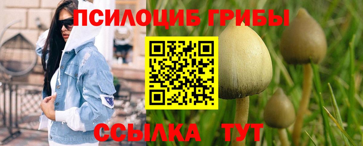 Псилоцибиновые грибы мухоморы  Псилоцибиновые грибы ЛСД  Назарово  Вход с VPN 
