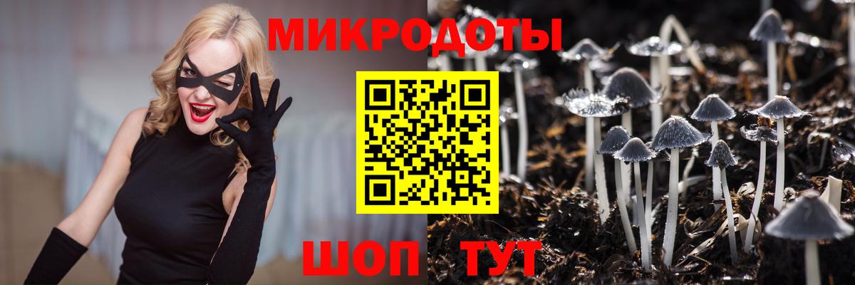 Галлюциногенные грибы Psilocybine cubensis Назарово